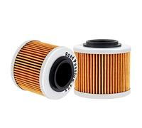 Road Passion Filtre à l'huile pour F650GS ABS 650 2000 2001 2002 2003 F650 GS ABS 652 2005(2 pièces)