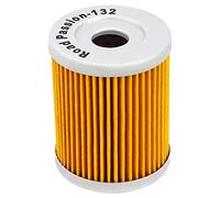 Road Passion Filtre à l'huile pour LTF250 Ozark 250 2002-2009 LT250E 1985-1986