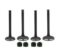 Road Passion Moteur Soupape d'admission et Soupape d'échappement pour SRV250 Renaissa /XC125 Cygnus/XV125 /XV125 Virago /XV250 Route 66/XV250 Virago /XVS250 V-Star/VYFA-1 /YFM80