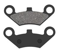Road Passion Plaquette de frein avant pour CF MOTO Terralander 625 (Quad) (CF 625 B/C) 2010 2011 LINHAI Goon 260 ATV 2x4 4x4 2007 2008 2009