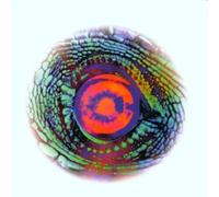 Road to the Western Lands by Material