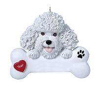 Roadoor CANCATO CAPERE Personnalisation DECIPE Unique Discours unique des dieux des Trains NASSAGE B