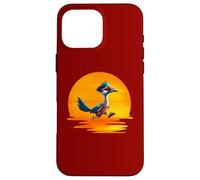 Roadrunner Sunset Fast Bird Running The Roads Lunettes de Soleil Coque pour iPhone 16 Pro Max
