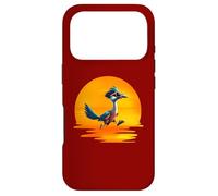 Roadrunner Sunset Fast Bird Running The Roads Lunettes de Soleil Coque pour iPhone 17 Pro
