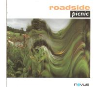Roadside picnic