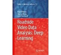 Roadside Video Data Analysis