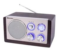 Roadstar HRA1245NWD Radio Portable Analogique FM Vintage, Haut-Parleur 16W à 1 Voie, Radio Rétro Compacte pour la Maison et la Cuisine, Éclairage LED, Bois