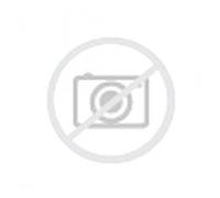 ROADSTONE 255/40 R18 99Y N FERA SU1 XL