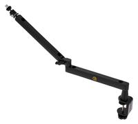 Roadworx Roadworx Swivel Microphone Arm