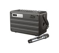 C.PERKINS ROADY FL - Enceinte Combo Portable sur batterie Tout-en-un Avec Micro UHF 100W