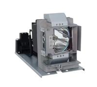 ROAOFFGB JD305.001/5811118543-SVV lampe de projecteur for HD161X HD50 for D865W DW866 for HT4050 W1350 W3000(5J.JD305.001-CBH)