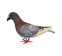 RoaQinFo Modèle de Simulation de Pigeon, Colombe pour Les Activités En Classe, Rouge Terreux