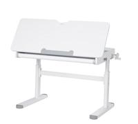 roba Bureau pour enfant Smart Grow entièrement inclinable 110 x 60 cm