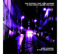 Robb Johnson & the Irregulars - The Mystery Gets Your Number & the Poetry Makes the Call [VINYL]