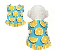 Robe à volants pour chien à volants sans manches respirante pour petits chiens et chats, taille XS