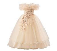 Robe Danse Fille Robes Enfant Fille Anniversaire Chic Et Elegant Dress De Carnaval Communionrobe Dentelle Plissée Tenue De Soirée en Tullerobe Fluide Vêtement pour Ceremonie Festival