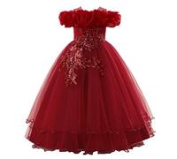 Robe Danse Fille Robes Enfant Fille Anniversaire Chic Et Elegant Dress De Carnaval Communionrobe Dentelle Plissée Tenue De Soirée en Tullerobe Fluide Vêtement pour Ceremonie Festival