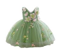Robe de Fée Brodée pour Fille Jupe Fête Élégante avec Motif Naturel et Deguisement 2 Ans Anniversaire Princesse Rouge Bebe