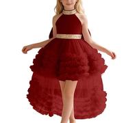 Robe de Fille à traîne et col volanté pour Spectacle compétition récital représentation scénique DéGuisement Fille 3 Ans Deguisement Carnaval Bebe Costume Enfant Mariage