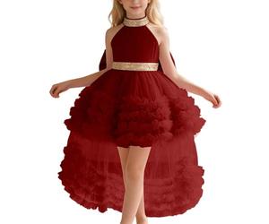Robe de Fille à traîne et col volanté pour Spectacle compétition récital représentation scénique DéGuisement Fille 3 Ans Deguisement Carnaval Bebe Costume Enfant Mariage