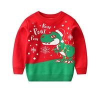 Robe de Noël pour fille tout-petit garçon fille Noël dessin animé dinosaure Père Noël Pull à manches longues Pull chaud en tricot Hauts de Noël, rouge, 5-6 ans