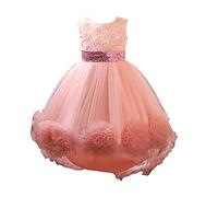 Robe de Princesse Fille Bowknot Tulle sans Manches Anniversaire Noeud Papillon Robe pour La Fête Robes Formelle Fête D'anniversaire Mariage Demoiselle D'honneur Fille Âge pour 3-9 Ans