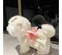 Robe de princesse pour chien printemps/été - Légère - Pour petit chien, ours en peluche, chat, nœud - Blanc