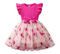 Robe en Tulle pour bébé Fille avec Manches Longues, Robe Tutu pour Petite Fille, Parfaite comme Robe de Demoiselle d'honneur ou fête de Noël, Robe d'anniversaire à Manches Longues Princesse n32