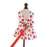 Robe pour Animaux de Compagnie avec nœuds, Tenue de fête pour Chiens, Petits Chats, Gilets rafraîchissants pour Petits médias, Grand Costume de Vacances