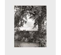 Robert Adams: Cottonwoods: Photographs, and a Conversation About Picture-making in the American West