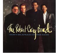 ROBERT CRAY BAND - DON'T BE AFRAID OF THE DARK LP (VINYL ALBUM) UK MERCURY 1988