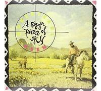 Robert Earl Keen - Bigger Piece Of Sky [Vinyl]