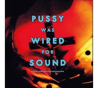 Robert Johnson and Punchdrunks - Pussy Was Wired for Sound
