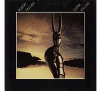 ROBERT PALMER - maybe it's live LP