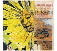 Robert Pollard - Not In My Airforce [Vinyl]