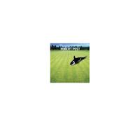Robert Post – Post Robert – CD – Import