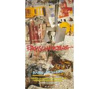 Robert Rauschenberg: Man at Work [VHS]