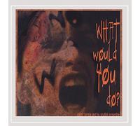 Robert Temple & His Soulfolk Ensemble - What Would You Do
