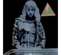 Robert Wood & Woodlands - Live at Lons Le Saulnier 1974
