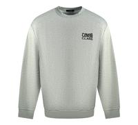 Roberto Cavalli CF062 Grey Homme Crew Neck Jumper