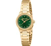 Roberto Cavalli Hodinky RC5L117M0035