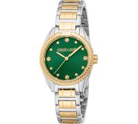 Roberto Cavalli Hodinky RC5L118M0075