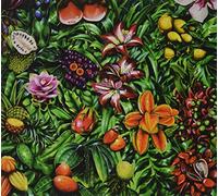 Roberto Laneri - South Of No Border