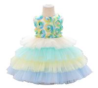 Robes Enfant Filles Fleur Jupe sans Manches Col en Rond Robes Mariage Anniversaire Cake Smash Robe de Soirée Princesse Fête Dress d'anniversaire Ceremonie Fête Robe Princesse Fille 6 Mois-5 Ans