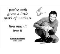Robin Williams Citation de motivation Sign Poster vous êtes seulement donné A Little Spark of Madness...