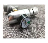 Robinet à bière, Distributeur de robinet mini fût avec tuyau bière 12 pouces for mini-bière artisanale Growler Homebrew Spear Tools(Co2 Charger)