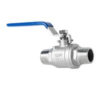 Robinet À Bille En Acier Inoxydable, Connecteur De Commutateur De Vanne D'eau À Filetage Externe 1/2 "3/4" 1 "1-1/4" 1-1/2 "2" 1 Pièce(304 DN20)