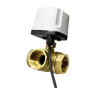 Robinet à boisseau sphérique motorisé étanche à 3 voies DN15 DN20 DN25 Vanne à bille en laiton Vanne à bille à trois lignes Contrôle à deux voies (1-1/4", T TYPE_24VDC_CR02)