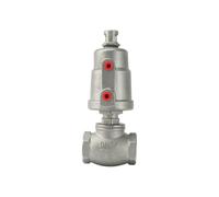Robinet à soupape fileté en T en acier inoxydable 1/2" 1" Vanne pneumatique à siège incliné(3/4",Double Acting)