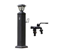 Robinet colonne d'eau extérieur en acier inoxydable - Double sortie pour irrigation et lavage de jardin - Distributeur d'eau 75 x 10 cm